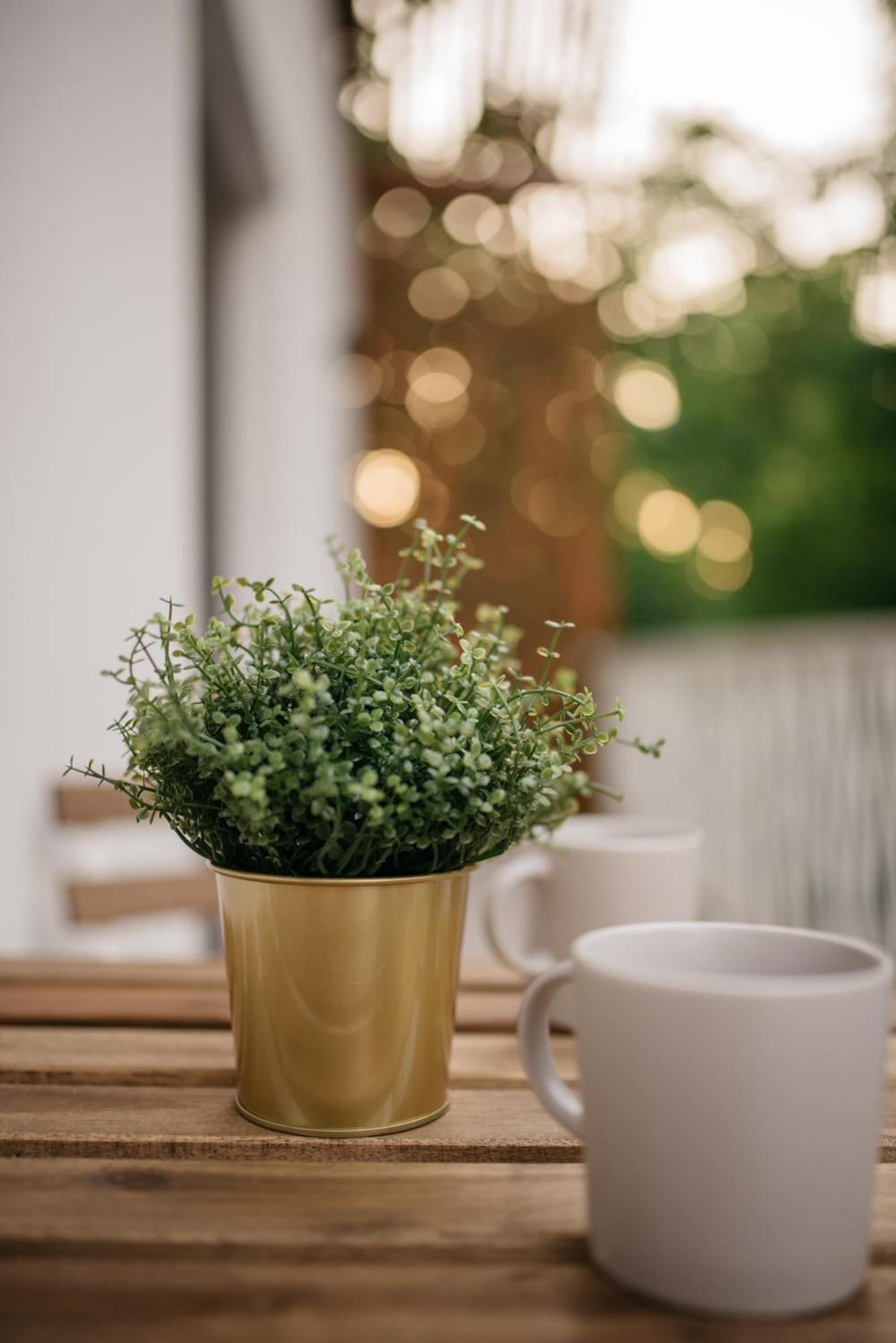 Nuez Apartments Dumbravita  Dış mekan fotoğraf